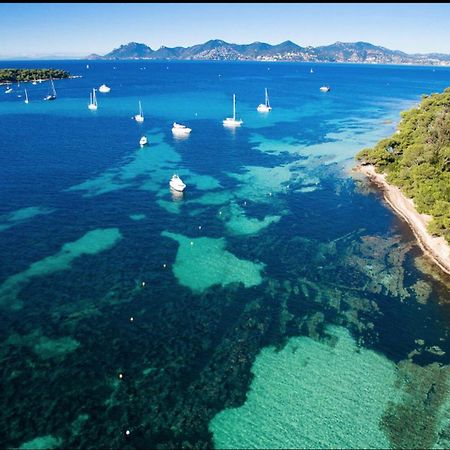 Appartamento Le Bristol Cannes Esterno foto