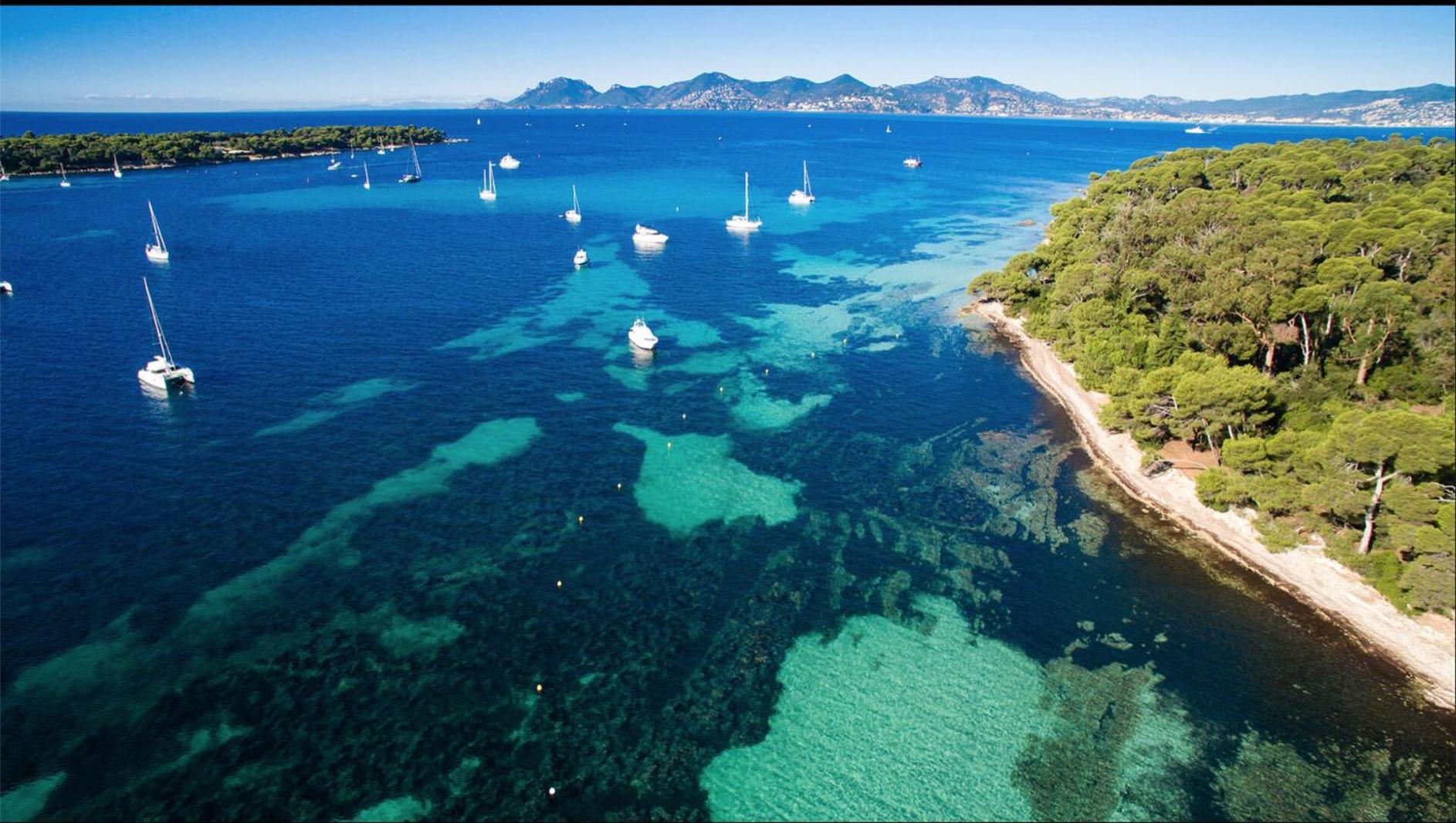 Appartamento Le Bristol Cannes Esterno foto